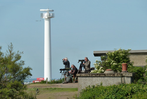 Landguard Bird Observatory